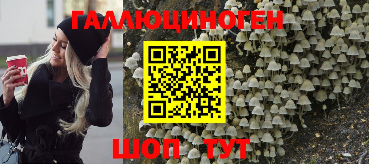 Галлюциногенные грибы прущие грибы  Вход с VPN  Псилоцибиновые грибы Cubensis  Ангарск 
